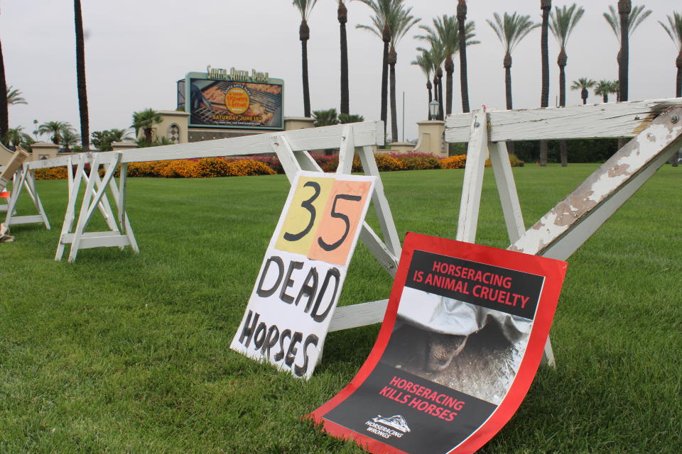 According to the state horse racing board, this season’s 29 deaths are down from a year ago, when 37 racing and training deaths occurred at Santa Anita in 2018, and 54 in 2017. 