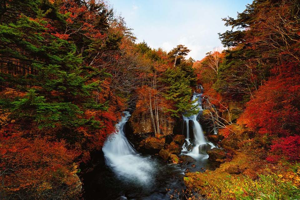 日本 賞楓 紅葉 北海道 知床五湖 東北 乳頭溫泉鄉 日光 龍頭瀑布 箱根 蘆之湖 京都 嵐山 九州 高千穗峽