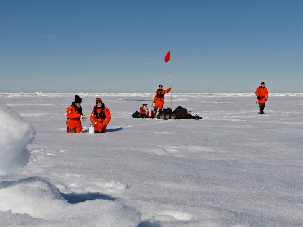 Scientists from the Alfred Wegener Institute collect snow and ice samples to measure the extent of microplastic pollution (Mine Tekman)