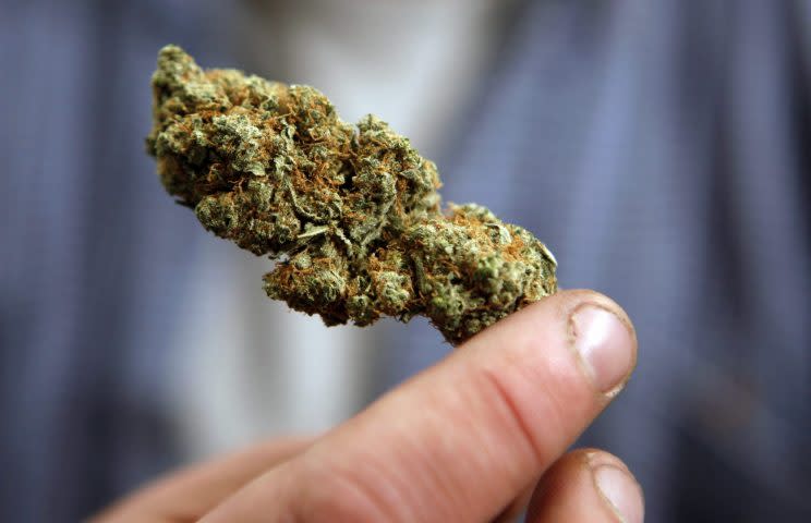 The federal government released a report Tuesday outlining recomendations for legalizing marijuana. Photo from the Canadian Press