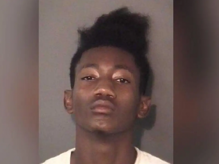 A suspected burglar in North Carolina who was fought off by a "very tough" 11-year-old boy with a machete and who then fled from hospital has been caught by police. The boy was alone in the house in Mebane, about 40 miles northwest of Raleigh, when Jataveon Dashawn Hall, 19, allegedly broke in after another suspect rang the doorbell and a third waited outside. Hall forced the boy into a closet and was stealing electronics when the child emerged, grabbed a machete and hit him in the head with the blade, drawing blood, according to the Orange County Sheriff's Office. The boy swung a second time but missed, according to the police. The burglars then fled the scene. "When Mr Hall realised he was bleeding, he dropped the electronics, left the home and departed with another man and a woman,” the sheriff's office said in a statement. Hall then went to a nearby hospital to get treatment for his head wound, while a deputy waited in a public area of the hospital for more investigators to arrive, the sheriff's office said.He was then transferred to UNC Medical Center in Chapel Hill and surveillance video shows him fleeing from there wearing a hospital gown and blue socks and with his head wrapped in a bandage. His escape sparked a row between police and hospital staff over who was responsible for letting him escape. The sheriff's office complained that it was not notified until the next morning. "I am not in the business of assigning blame," the sheriff said in a statement Sunday. "However, it has become clear to me that another statement was necessary to defend the actions of my deputies and investigators and to place this matter in the correct context." But hospital staff said on Sunday morning that the sheriff didn't place a deputy to guard Hall, saying suspects under treatment "remain the legal responsibility of law enforcement." They added that "nurses and physicians cannot be both caregivers and law enforcement at the same time." The boy's mother, Kaitlin Johnson, told North Carolina television station, WTVD-TV, “it was infuriating" that Hall had escaped from hospital.