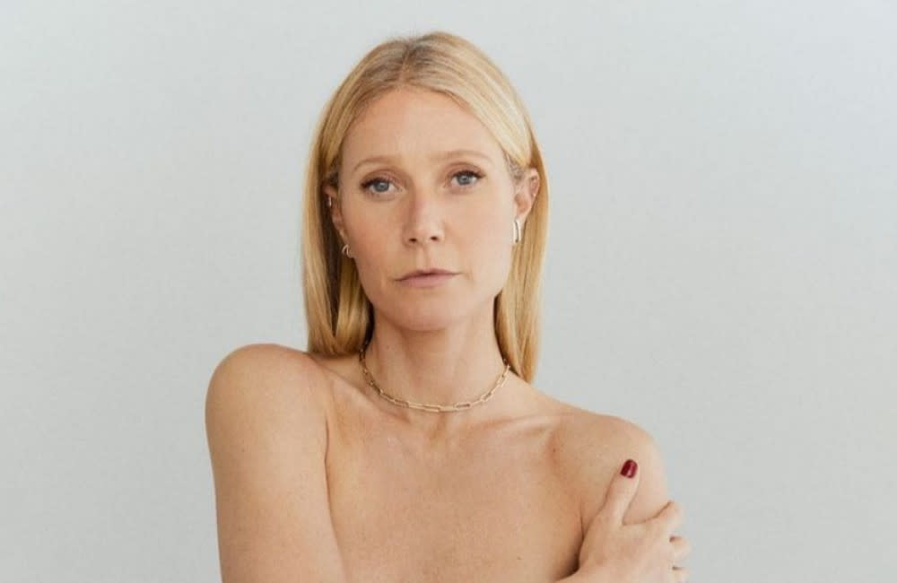 Gwyneth Paltrow has built up a successful lifestyle brand in addition to her acting career. credit:Bang Showbiz