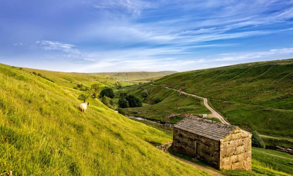 <span>Photograph: Nicky Beeson/Alamy</span>