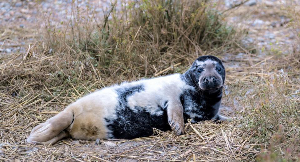 Photo credit: Hanne Siebers/The National Trust