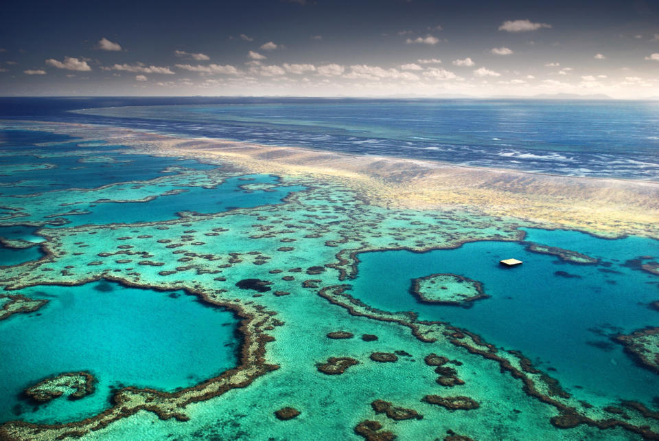 The rapid decline of the world's coral reefs appears to be accelerating, threatening to destroy huge swathes of marine life unless dramatic action is swiftly taken, leading ocean scientists have warned.   About half of the world's coral reefs have already been destroyed over the past 30 years, as climate change warms the sea and rising carbon emissions make it more acidic.