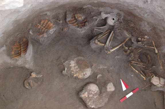 Turtle skeletons were found alongside human ones in the Kavusan Hoyuk burial.