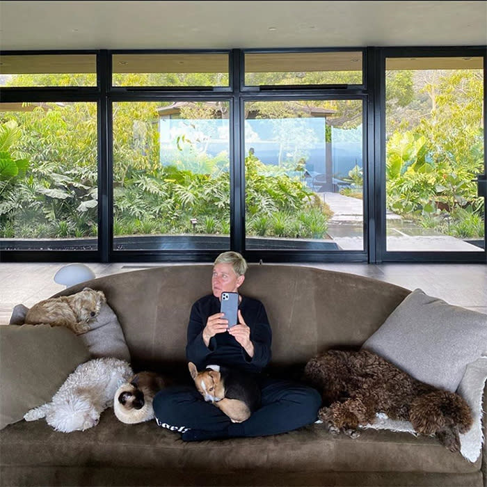 2-ellen-degeneres-house-living-room