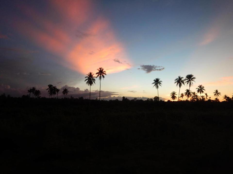 The sun sets on the outskirts of a forest clearance operation in West Sepik Province (Paul Pavol)