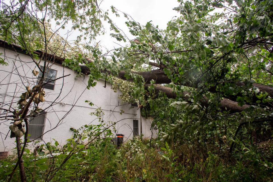 Trees near Franklin Lakes homes, such as this Ewing Avenue tree that fell on a house during a July 2021 storm, could not be cut down without a permit under terms of a new ordinance approved by Borough Council in June.