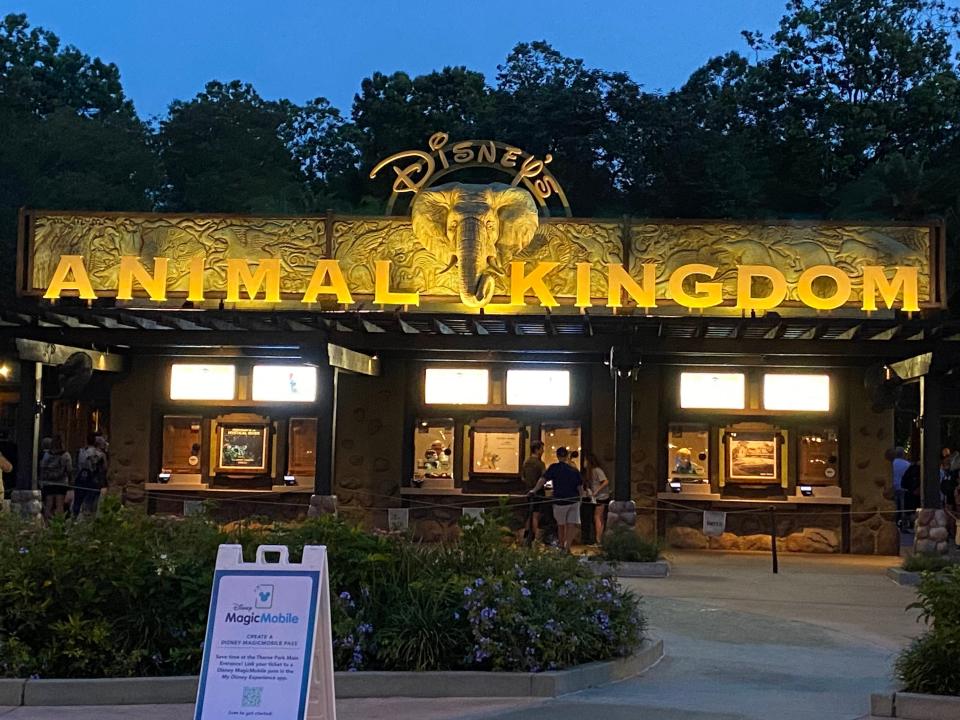 entrance to disney animal kingdom before the sun has risen