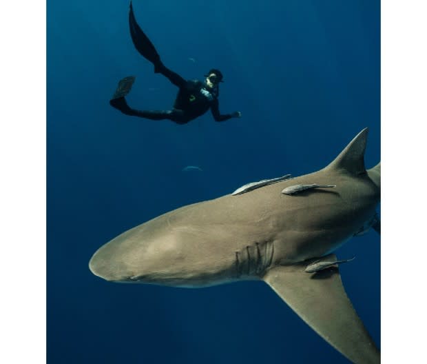 "When a shark comes at you, you reach your hand out to redirect. Fear is real, but in some situations you just can’t be afraid—even with something that can kill you.”<p>Courtesy image</p>