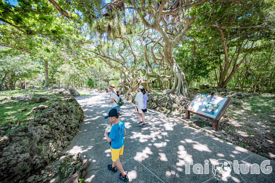 台東東部海岸富岡地質公園