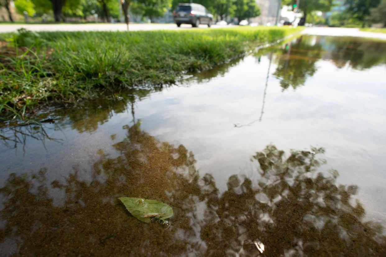 A large puddle fills a portion of the sidewalk in front of the Kansas Judicial Center Wednesday morning after heavy rainfall the Tuesday night.