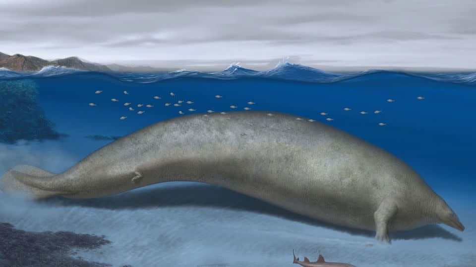 The extinct whale known as Perucetus colossus is depicted in its coastal habitat approximately 39 million years ago. - Alberto Gennari