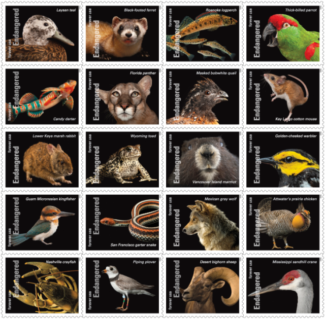 New stamps honor endangered species in all 50 states