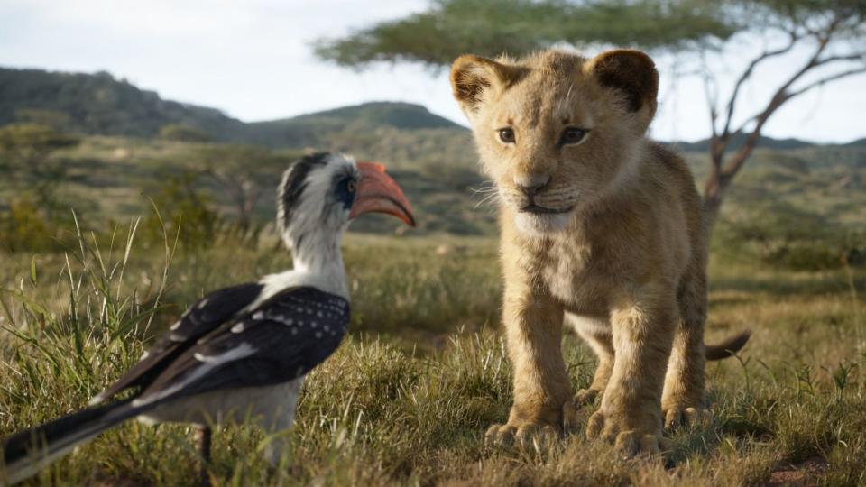 Während Simba und Co. 1994 noch in animierter Form auf der Leinwand zu sehen waren, zeigte sich der "König der Löwen" 2019 im Remake zwar auch animiert, doch realer als je zuvor. (Bild: Disney)