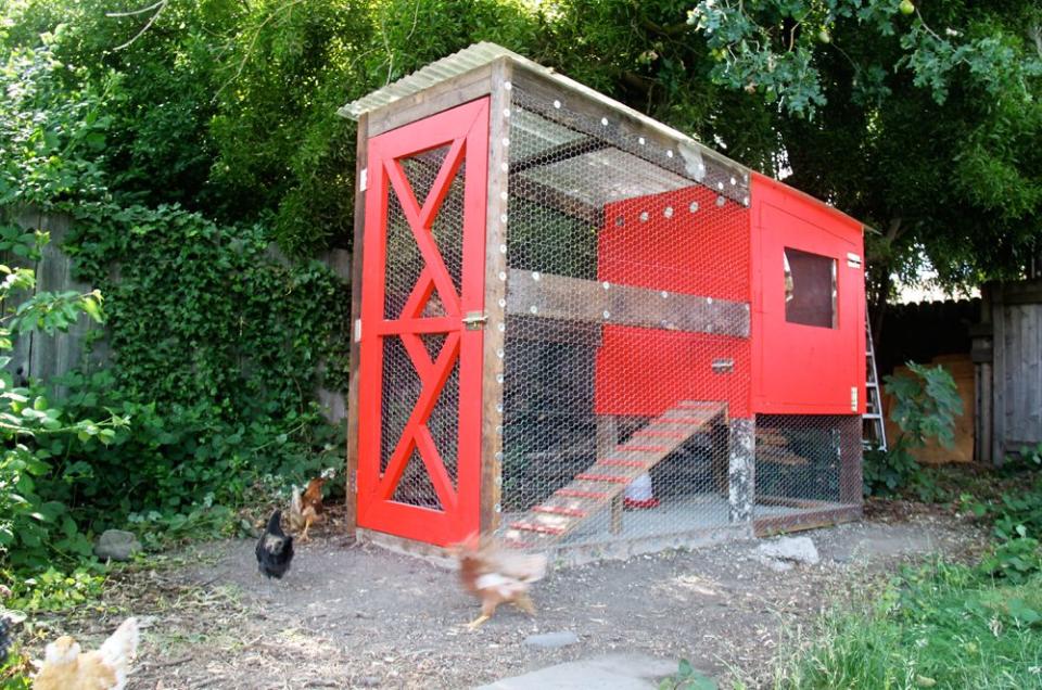 Rustic-Modern DIY Chicken Coop