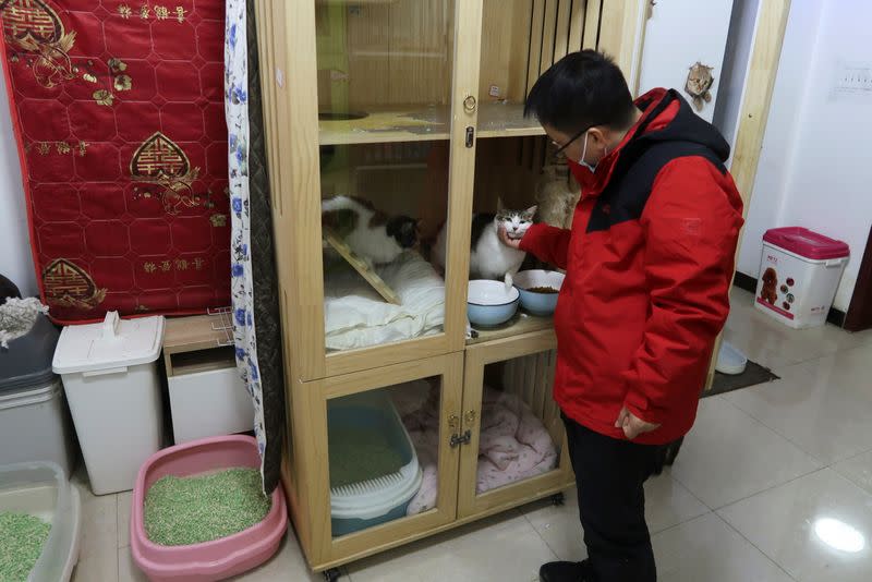 Du Fan interacts with a cat while posing for media at his association's cat sanctuary in Wuhan