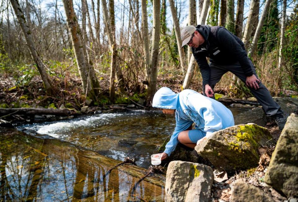 Grant Elementary School fifth grader Angel Linda, 11, grabs a cup of water from Swan Creek to measure the temperature of it, while Pierce Conservation District environmental education program manager Chris Towe supervises from above, during a school field trip that is part of the Foss Waterway Seaport Salmon in the Classroom program, in Tacoma on March 15, 2023. Cheyenne Boone/Cheyenne Boone/The News Tribune