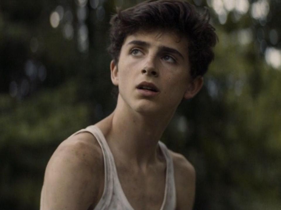 timothee chalamet one and two