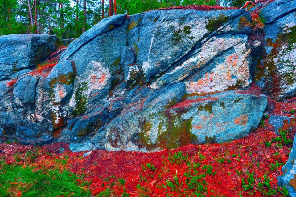Et bilde med uthevet fargelegging viser flere malerier (i rødt) på berget.