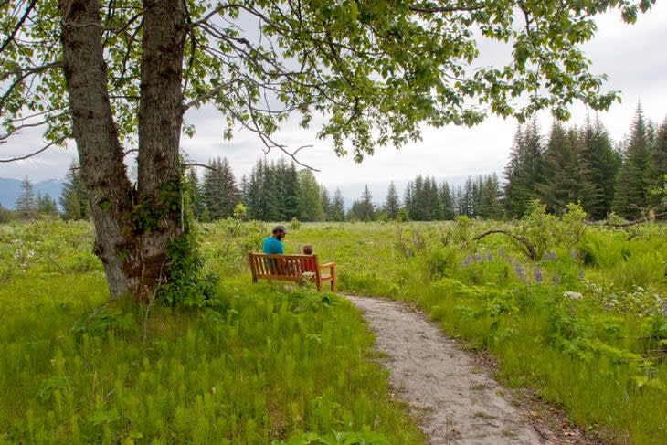 Nagoonberry Loop Trail near Gustavus, Alaska