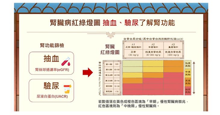 腎功能篩檢抽血「腎絲球過濾率」與驗尿「白蛋白尿」兩項數值透過「腎臟紅綠燈圖」交叉比對，即可初步了解腎臟健康；若數值落在黃色或橙色區塊為早期慢性腎臟病徵兆，就能盡早掌握腎病風險。（資料來源／台灣腎臟醫學會）