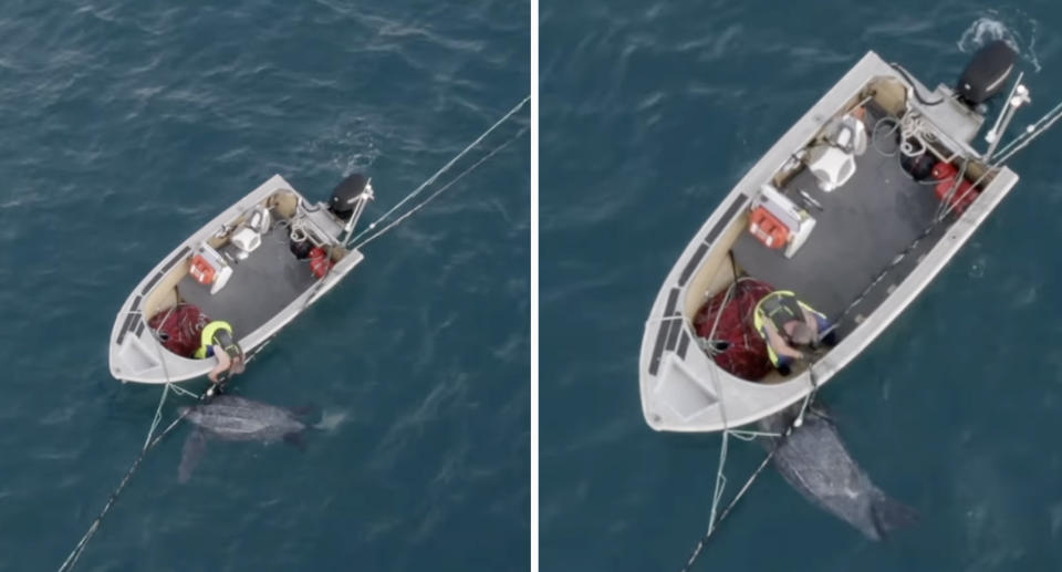 The man in the boat cutting the rope (left) and pulling at the rope (right) with the turtle picture in the net at Maroubra.