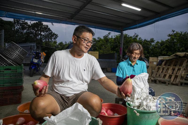 余昶佑（左）與母親葉金梅（右）採外觀目視、磅重、套袋3道人工檢查，確保大果農莊出產的每一顆蓮霧品質。