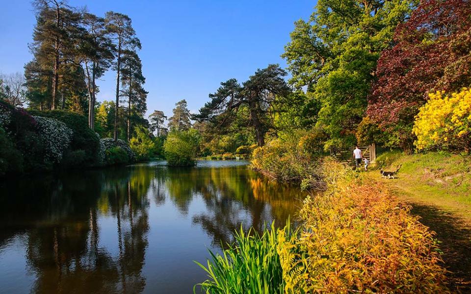 Leonardslee’s woodland gardens were created by Sir Edmund Loder, one of the Victorian era’s greatest plant collectors - KEVIN MURRAY