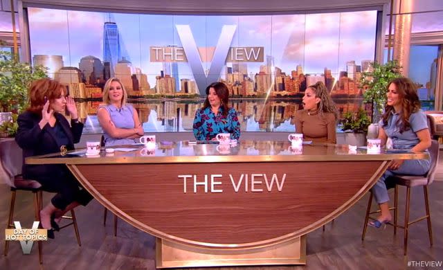 <p>ABC/The View</p> The View