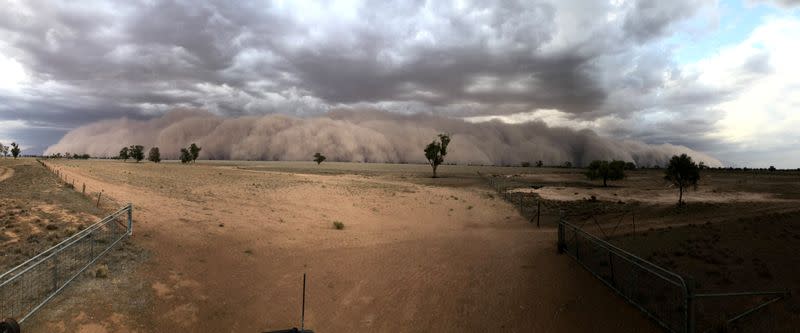 A duststorm approaches a farm, northwest of Dubbo, Australia