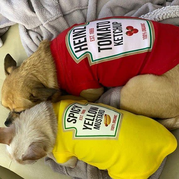 Matching Condiments Shirts for Dogs