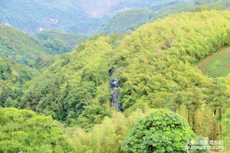 嘉義二尖山步道