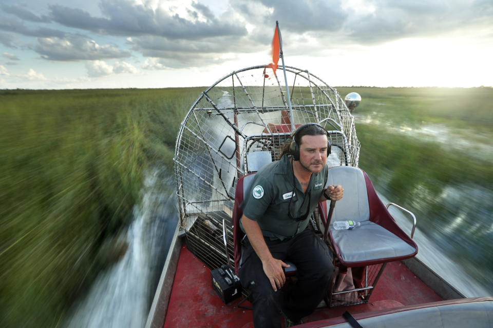 In this Tuesday, Oct. 22, 2019 photo, tour guide Gianni Magrini pilots an airboat across a sawgrass marsh in Everglades National Park. Margrini, whose livelihood depends on tourism, has been guiding in the park for 25 years. (AP Photo/Robert F. Bukaty)