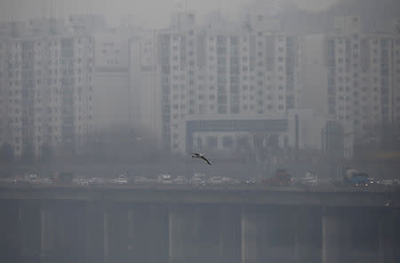 A bird flies on a polluted day in Seoul, South Korea, March 12, 2019. REUTERS/Kim Hong-ji
