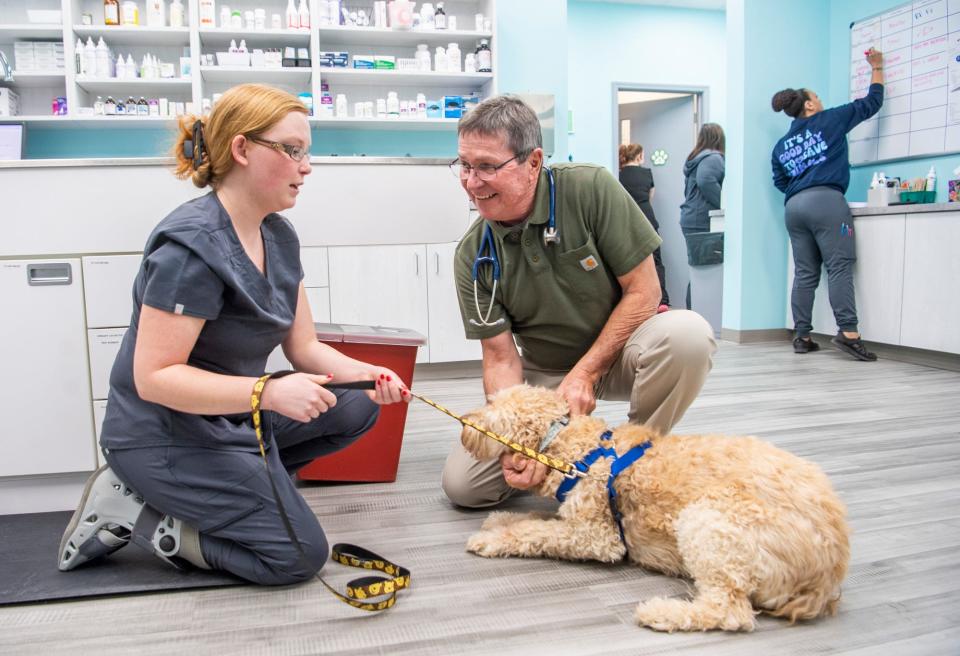 Dr. Kent Seamonson takes a look at a patient as Bailey Harper explains the dog was limping on a paw at VetCheck on their first day of business on Feb. 1, 2024.