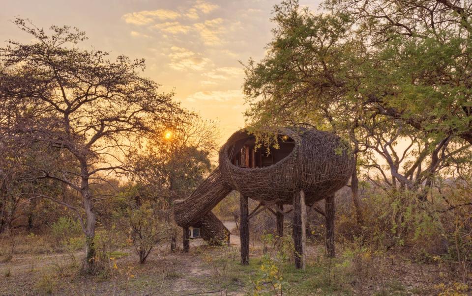 Chisa Busanga Camp, part of Audley Travel's Responsible Choice classification (Green Safaris)