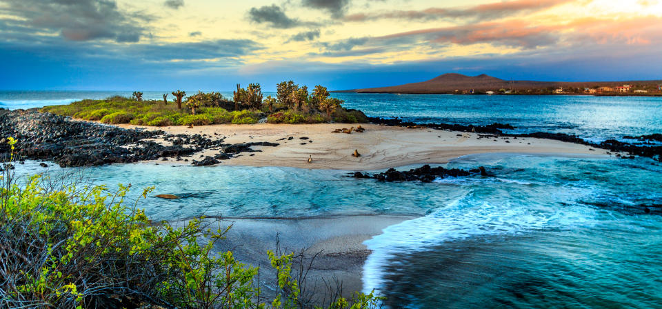 Nature in the Galapagos Islands