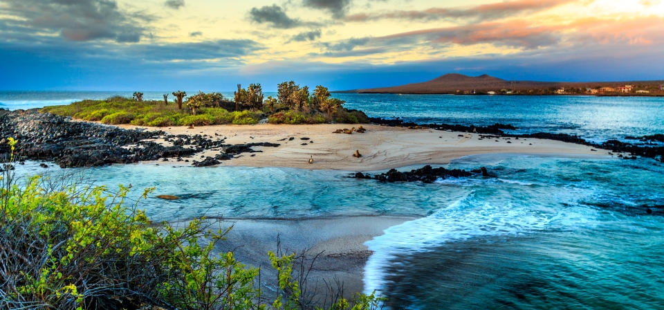 This volcanic archipelago in the Pacific Ocean is considered one of the best places in the world to see wildlife, with many of its resident creatures – such as giant tortoises – found nowhere else in the world. So a cruise with a naturalist guide and photographer is just the ticket. <a href="https://worldexpeditions.com/Ecuador/Expedition-Cruising-Sailing/Galapagos-in-Comfort-with-Naturalist-and-Photographer-Jaime-Dominguez" rel="nofollow noopener" target="_blank" data-ylk="slk:World Expeditions;elm:context_link;itc:0;sec:content-canvas" class="link ">World Expeditions</a> offers an eight-day sailing on board a new, first-class yacht with Jaime Dominguez, who holds the highest certification possible for a naturalist guide in the Galapagos. Guests can spot birds nesting on guided walks, snorkel with sea lions or watch marine iguanas transform into an array of colours with the start of their mating season. Departing on January 28, the trip costs from £4,290pp, including all meals and domestic flights.<em> [Photo: Getty]</em>