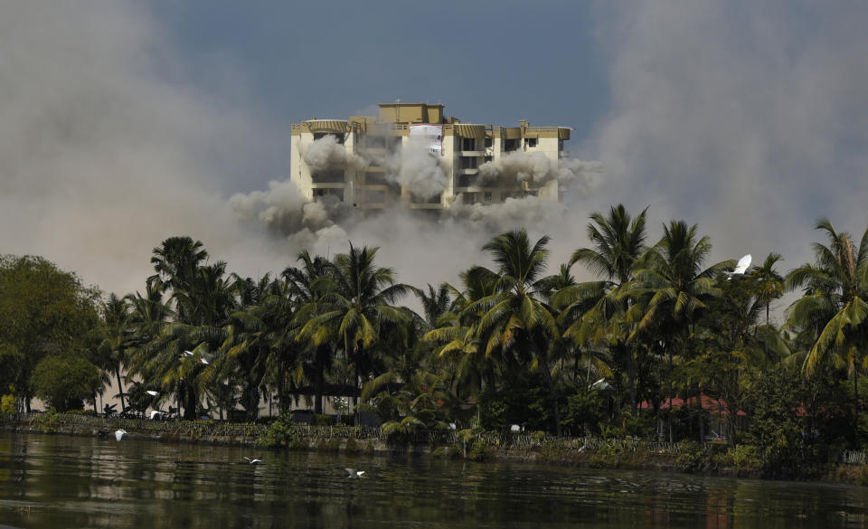 The second tower of water-front residential apartment Alpha Serene is demolished using controlled implosion in Kochi, India, Saturday, Jan. 11. 2020. Authorities in southern Kerala state on Saturday razed down two high-rise luxury apartments using controlled implosion in one of the largest demolition drives in India involving residential complexes for violating environmental norms. (AP Photo/R S Iyer)