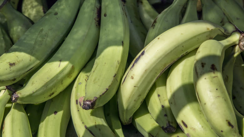 Green plantains