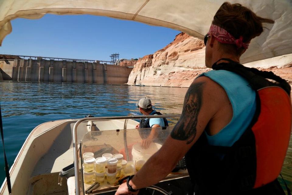 FILE - Utah State University master's student Barrett Friesen steers a boat near Glen Canyon dam on Lake Powell on June 7, 2022, in Page, Ariz. Six western states that rely on water from the Colorado River have agreed on a plan to dramatically cut their use. California, the state with the largest allocation of water from the river, is the holdout. (AP Photo/Brittany Peterson, File)