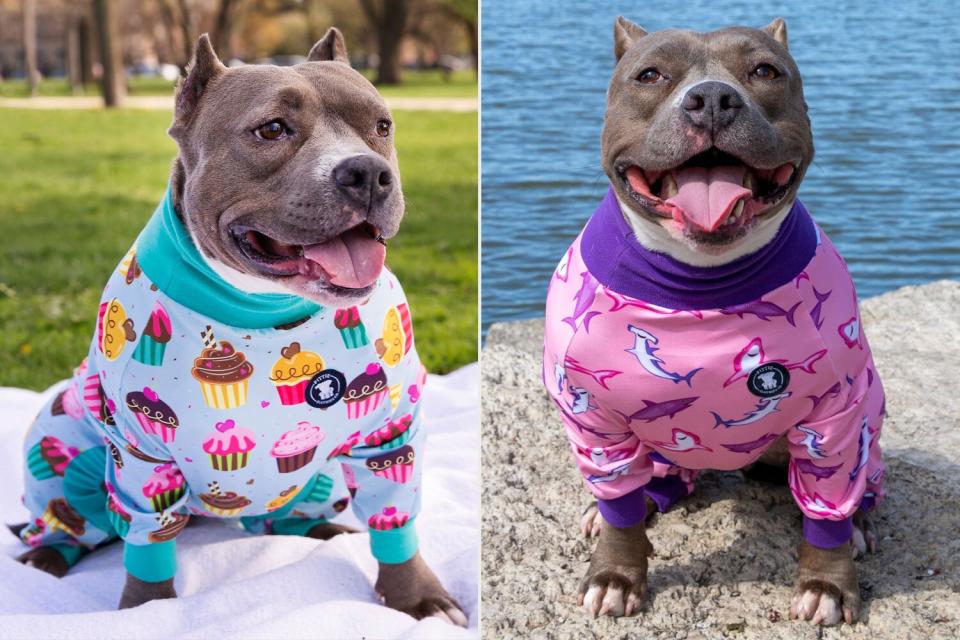 Pitbull Pajamas