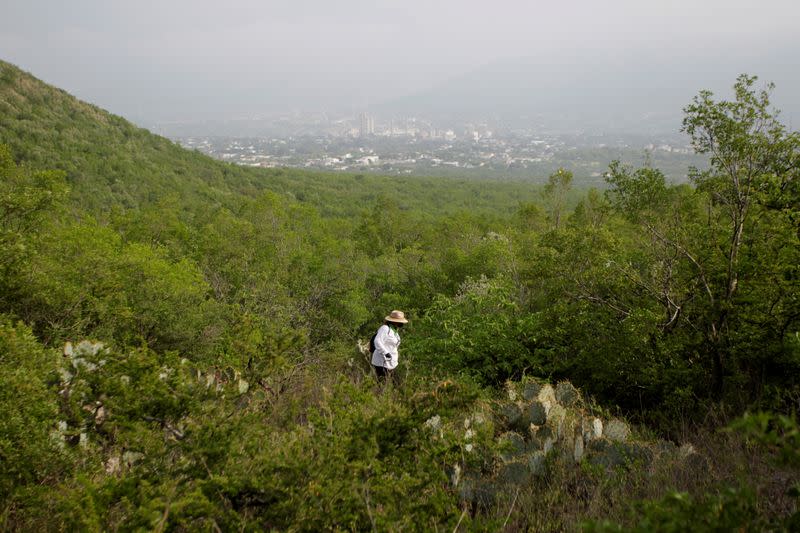 Mother of a student missing since January 2011 takes part in a search for skeletal remains and clothing at a plot of land in the municipality of Hidalgo