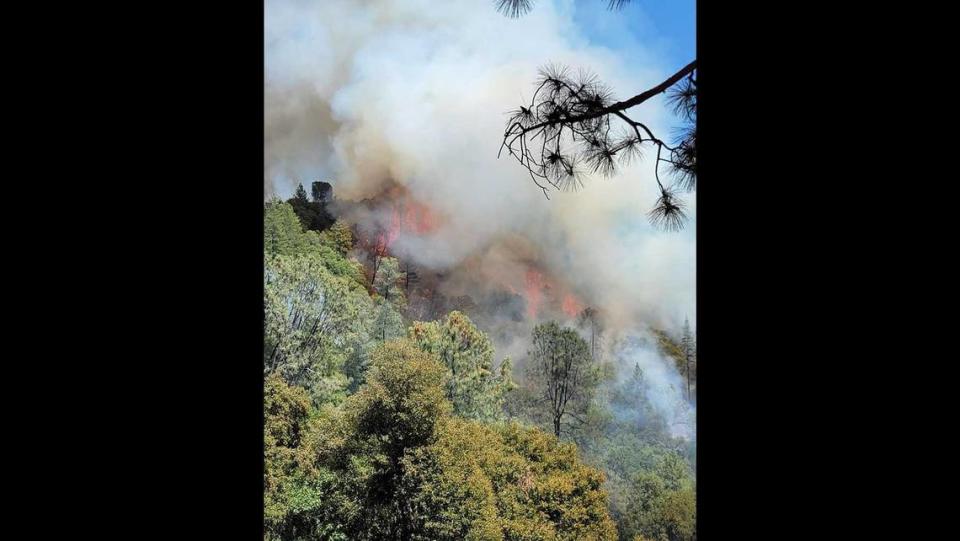 Smoke on Tuesday shrouded vegetation burning in the Moccasin Fire, according to the El Dorado County Fire Protection District.