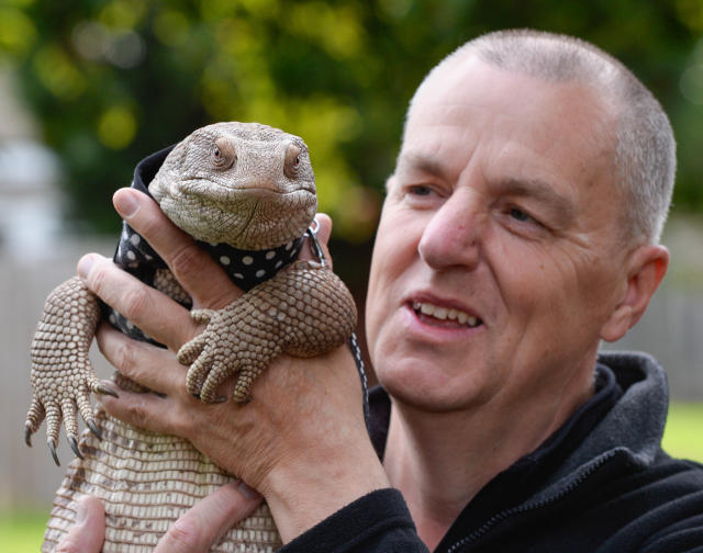 The 4ft-Long Lizard Who Goes For Walkies in Loughborough