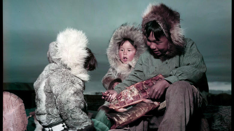 Inuit family eating meat