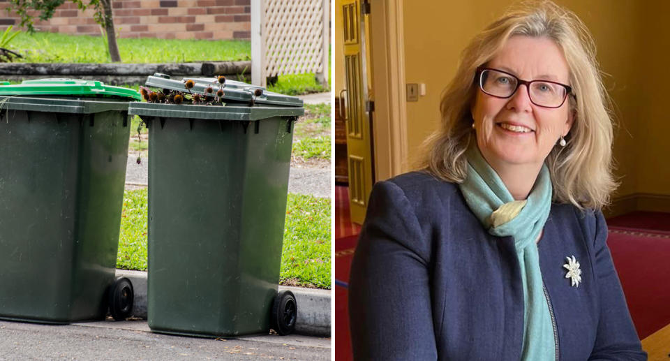 Picture of green bins next to a picture of Victoria Park Mayor in Perth, Karen Vernon, who has said council residents will be slapped with $5000 fines if they put general waste in their new FOGO bins. Source: Getty and Facebook.