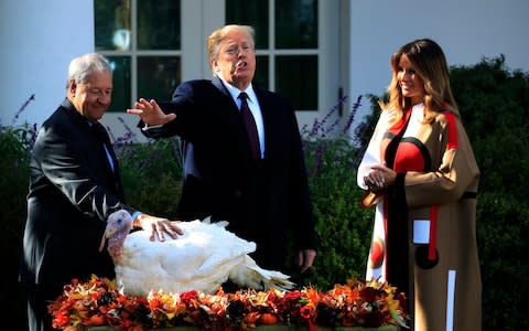 President Donald Trump with first lady Melania Trump gives "Peas" an absolute pardon during a ceremony in the Rose Garden - Credit: AP